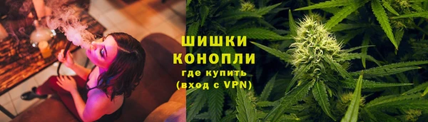 хмурый Белокуриха