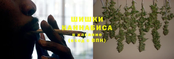 хмурый Белокуриха