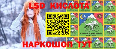 винт Котовск
