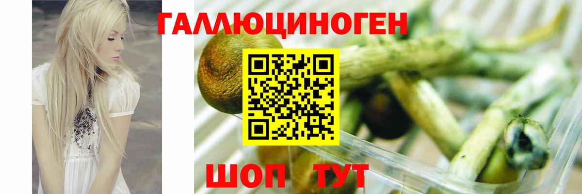 Галлюциногенные грибы Cubensis  Вход с VPN  Галлюциногенные грибы прущие грибы  Бутурлиновка 